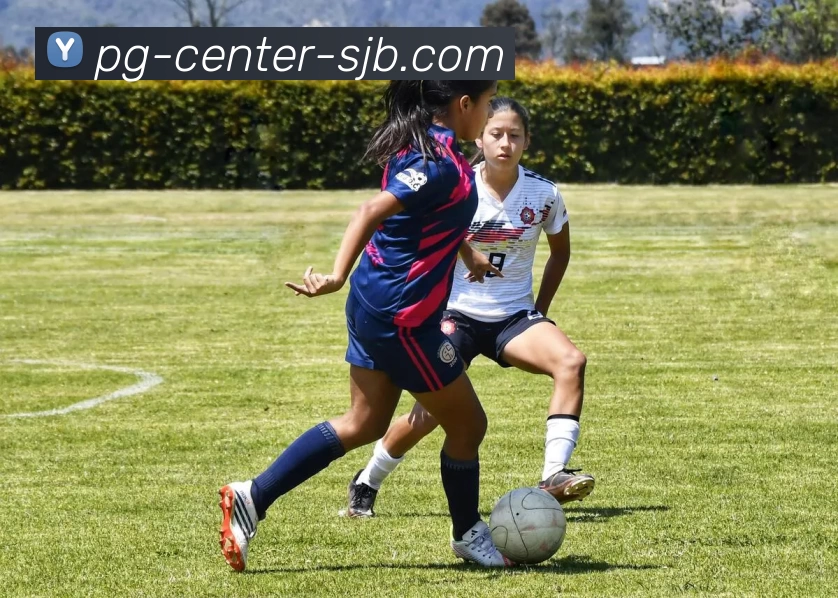 jiuyou，九游官网唯一入口 ，九游体育，Jiuyou游戏官网入口APP 高清赛事图